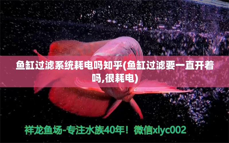 魚缸過濾系統(tǒng)耗電嗎知乎(魚缸過濾要一直開著嗎,很耗電)