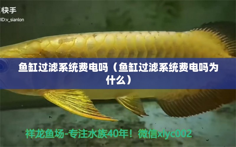 魚缸過濾系統(tǒng)費(fèi)電嗎（魚缸過濾系統(tǒng)費(fèi)電嗎為什么） 其他品牌魚缸