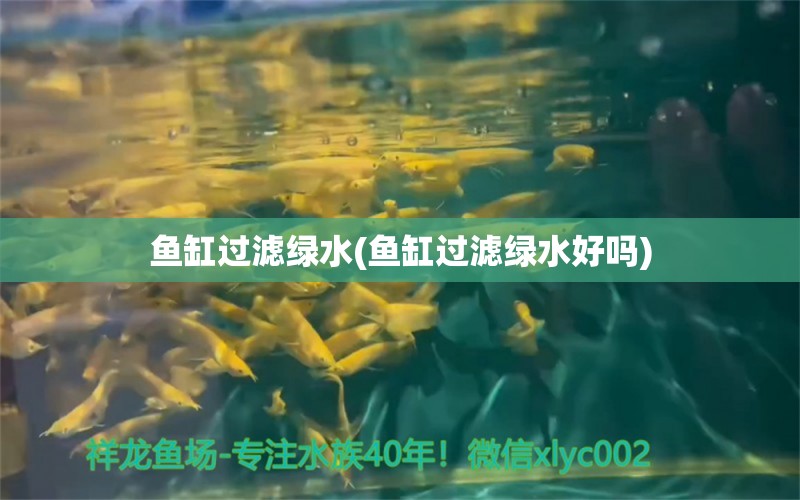 魚缸過濾綠水(魚缸過濾綠水好嗎)