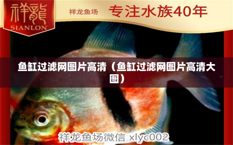 魚缸過濾網(wǎng)圖片高清（魚缸過濾網(wǎng)圖片高清大圖） 祥龍水族醫(yī)院