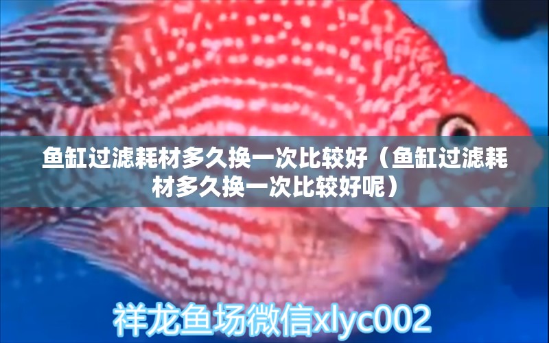 魚缸過(guò)濾耗材多久換一次比較好（魚缸過(guò)濾耗材多久換一次比較好呢）