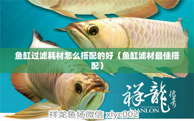 魚缸過濾耗材怎么搭配的好（魚缸濾材最佳搭配） 球鯊魚 第1張