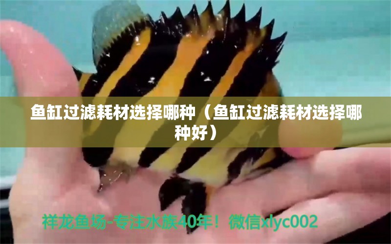 魚缸過濾耗材選擇哪種（魚缸過濾耗材選擇哪種好） 祥龍水族醫(yī)院