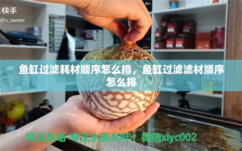 魚缸過濾耗材順序怎么排，魚缸過濾濾材順序怎么排 白子關刀魚