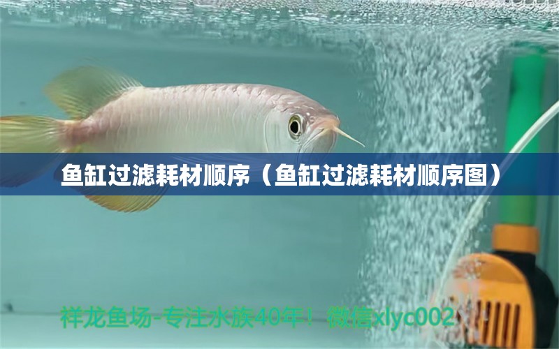 魚缸過濾耗材順序（魚缸過濾耗材順序圖）