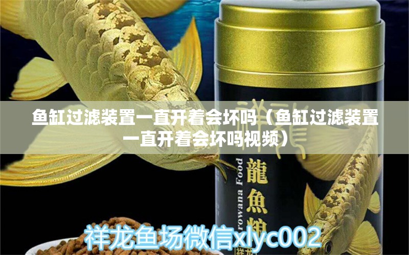 魚缸過濾裝置一直開著會壞嗎（魚缸過濾裝置一直開著會壞嗎視頻）