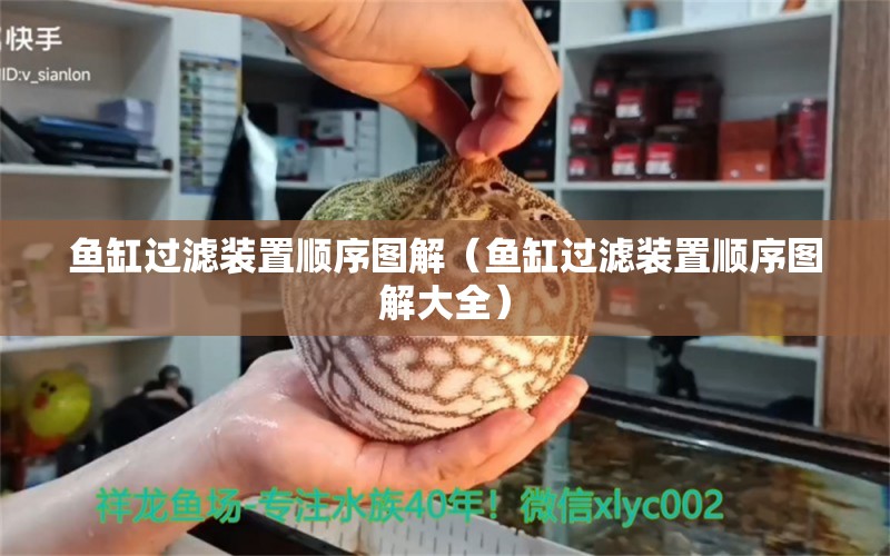 魚(yú)缸過(guò)濾裝置順序圖解（魚(yú)缸過(guò)濾裝置順序圖解大全） 祥龍水族醫(yī)院