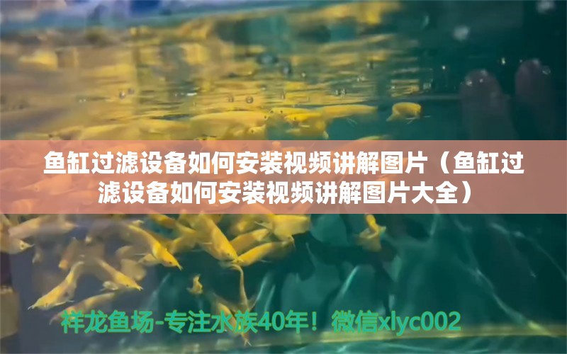 魚(yú)缸過(guò)濾設(shè)備如何安裝視頻講解圖片（魚(yú)缸過(guò)濾設(shè)備如何安裝視頻講解圖片大全）