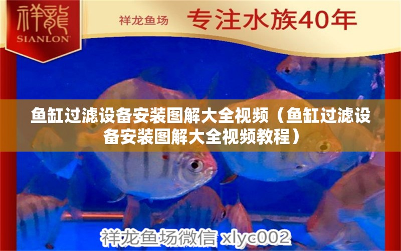 魚(yú)缸過(guò)濾設(shè)備安裝圖解大全視頻（魚(yú)缸過(guò)濾設(shè)備安裝圖解大全視頻教程）