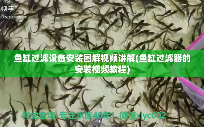 魚缸過濾設備安裝圖解視頻講解(魚缸過濾器的安裝視頻教程) 過濾設備