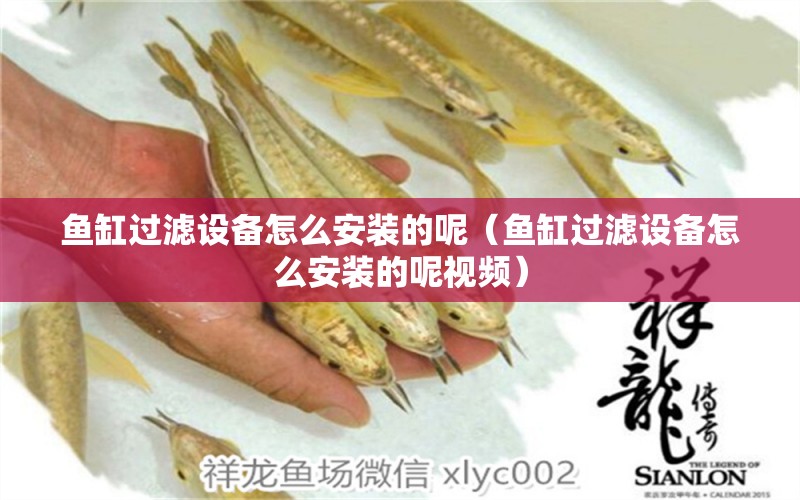 魚缸過濾設(shè)備怎么安裝的呢（魚缸過濾設(shè)備怎么安裝的呢視頻） 過濾設(shè)備