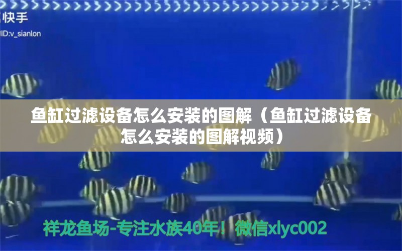 魚缸過濾設(shè)備怎么安裝的圖解（魚缸過濾設(shè)備怎么安裝的圖解視頻）