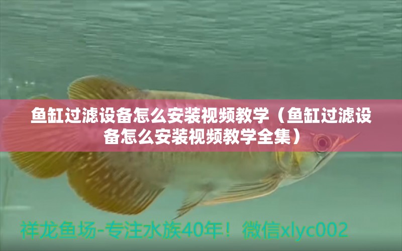 魚缸過濾設備怎么安裝視頻教學（魚缸過濾設備怎么安裝視頻教學全集） 過濾設備