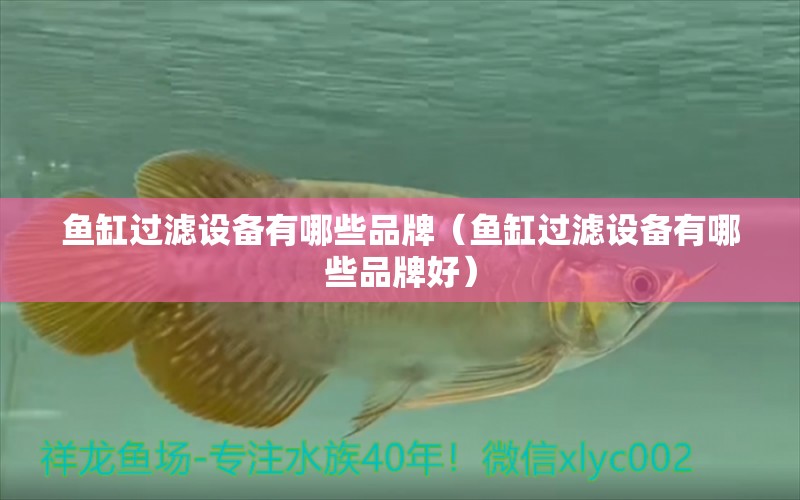 魚缸過濾設(shè)備有哪些品牌（魚缸過濾設(shè)備有哪些品牌好） 過濾設(shè)備