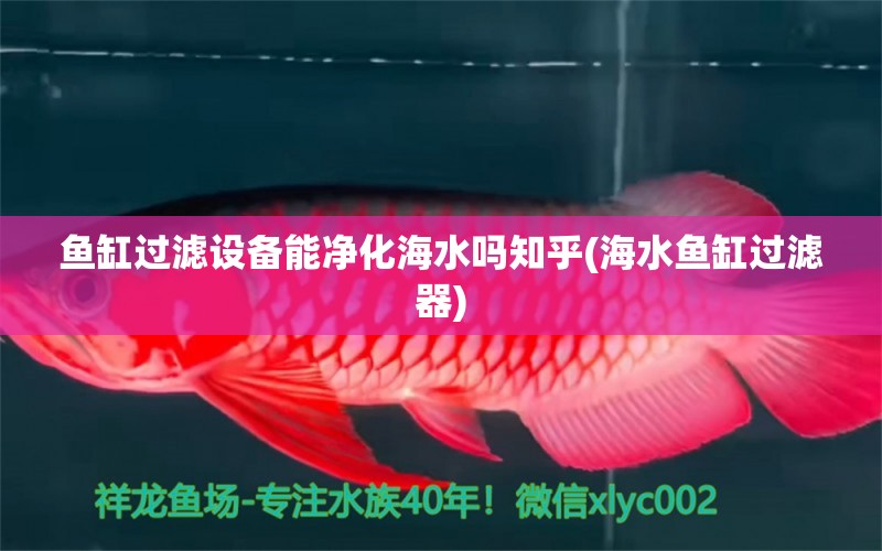 魚缸過濾設備能凈化海水嗎知乎(海水魚缸過濾器) 海水魚 第1張