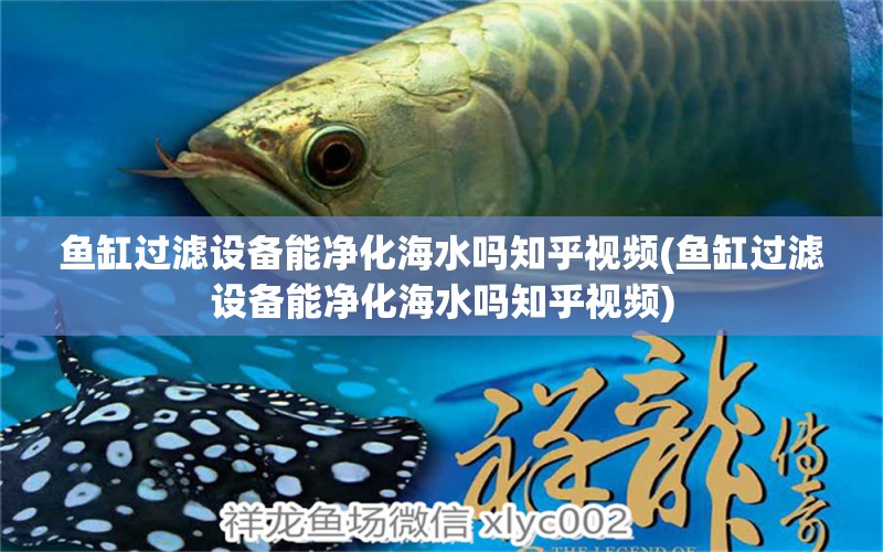 魚缸過濾設(shè)備能凈化海水嗎知乎視頻(魚缸過濾設(shè)備能凈化海水嗎知乎視頻)