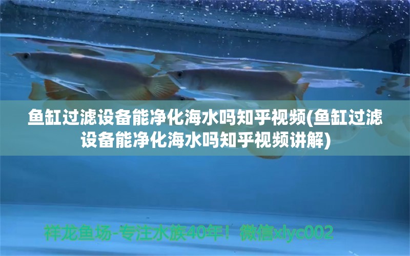 魚缸過濾設(shè)備能凈化海水嗎知乎視頻(魚缸過濾設(shè)備能凈化海水嗎知乎視頻講解)