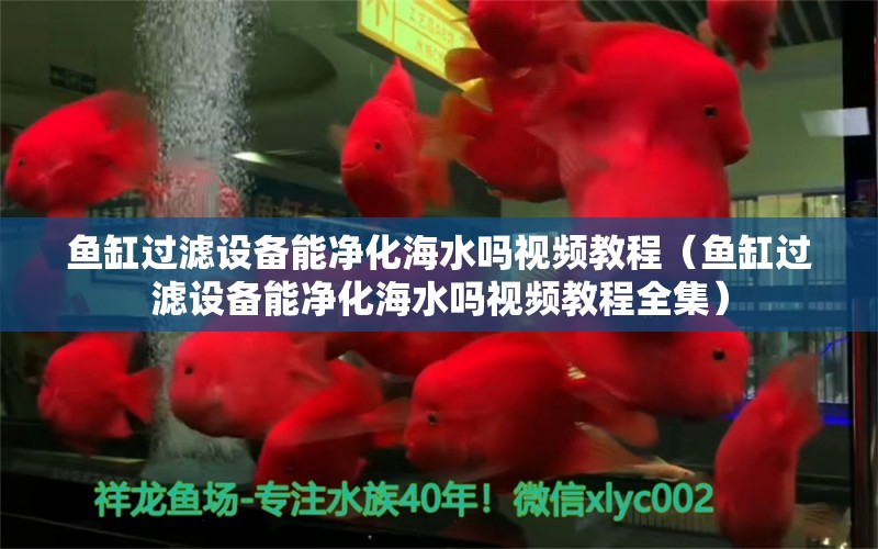 魚缸過濾設(shè)備能凈化海水嗎視頻教程（魚缸過濾設(shè)備能凈化海水嗎視頻教程全集） 過濾設(shè)備