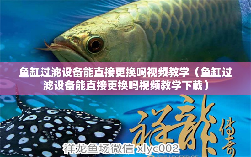 魚缸過濾設備能直接更換嗎視頻教學（魚缸過濾設備能直接更換嗎視頻教學下載） 過濾設備