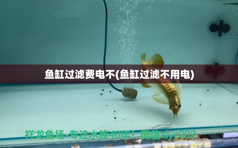 魚缸過濾費電不(魚缸過濾不用電) 水族雜談