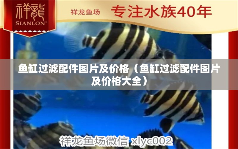 魚缸過濾配件圖片及價(jià)格（魚缸過濾配件圖片及價(jià)格大全）