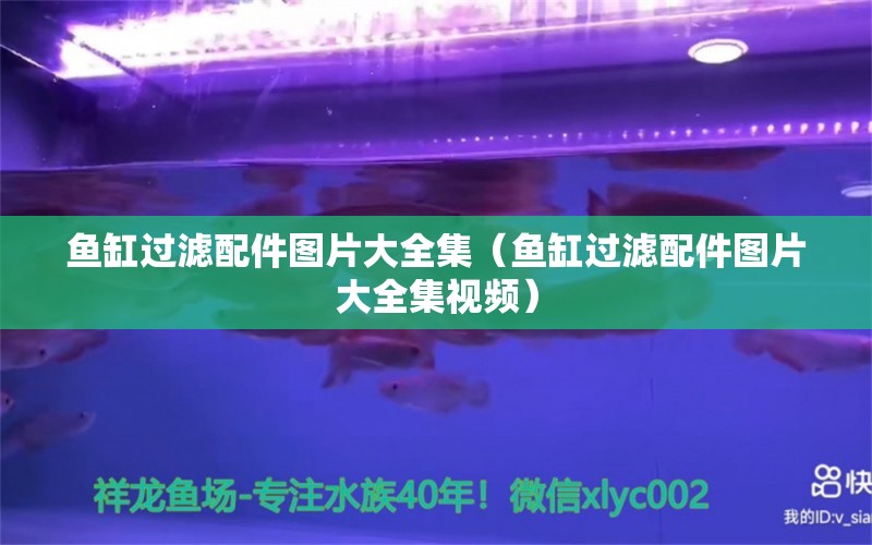 魚缸過濾配件圖片大全集（魚缸過濾配件圖片大全集視頻） 祥龍水族醫(yī)院