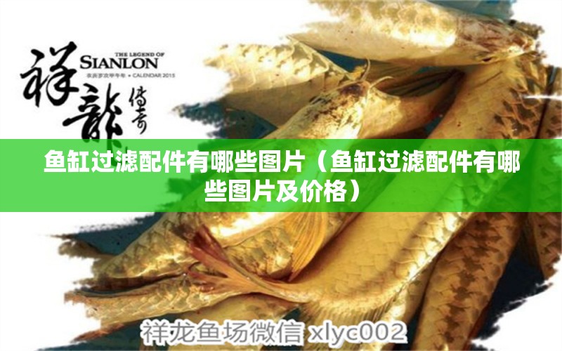 魚缸過濾配件有哪些圖片（魚缸過濾配件有哪些圖片及價(jià)格） 七紋巨鯉魚