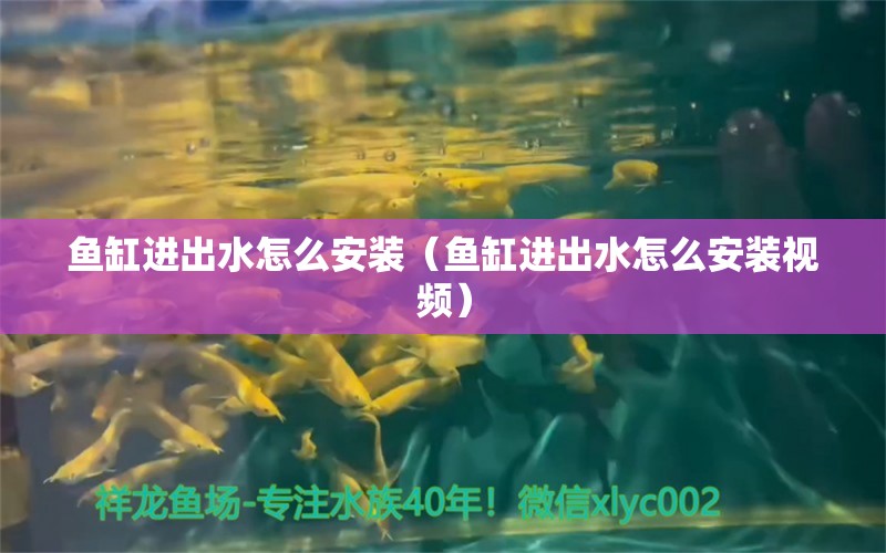 魚缸進(jìn)出水怎么安裝（魚缸進(jìn)出水怎么安裝視頻） 祥龍水族醫(yī)院