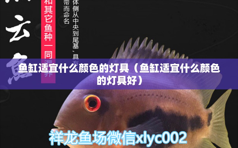 魚缸適宜什么顏色的燈具（魚缸適宜什么顏色的燈具好） 黑白雙星