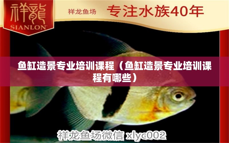 魚(yú)缸造景專(zhuān)業(yè)培訓(xùn)課程（魚(yú)缸造景專(zhuān)業(yè)培訓(xùn)課程有哪些）