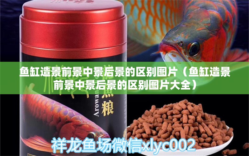 魚(yú)缸造景前景中景后景的區(qū)別圖片（魚(yú)缸造景前景中景后景的區(qū)別圖片大全）