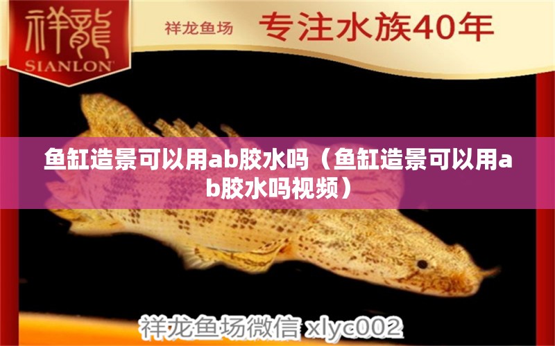 魚缸造景可以用ab膠水嗎（魚缸造景可以用ab膠水嗎視頻） 魟魚百科