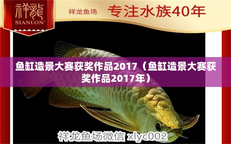 魚(yú)缸造景大賽獲獎(jiǎng)作品2017（魚(yú)缸造景大賽獲獎(jiǎng)作品2017年）