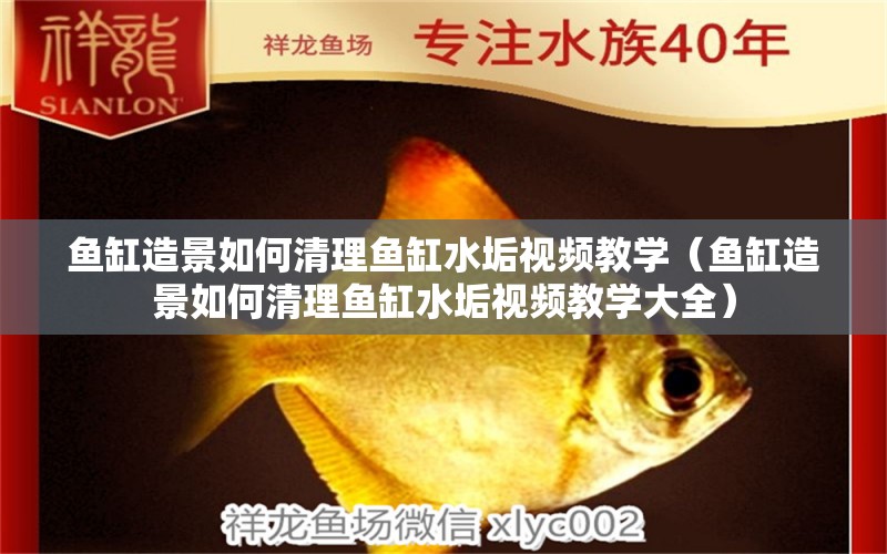 魚缸造景如何清理魚缸水垢視頻教學（魚缸造景如何清理魚缸水垢視頻教學大全） 馬拉莫寶石魚