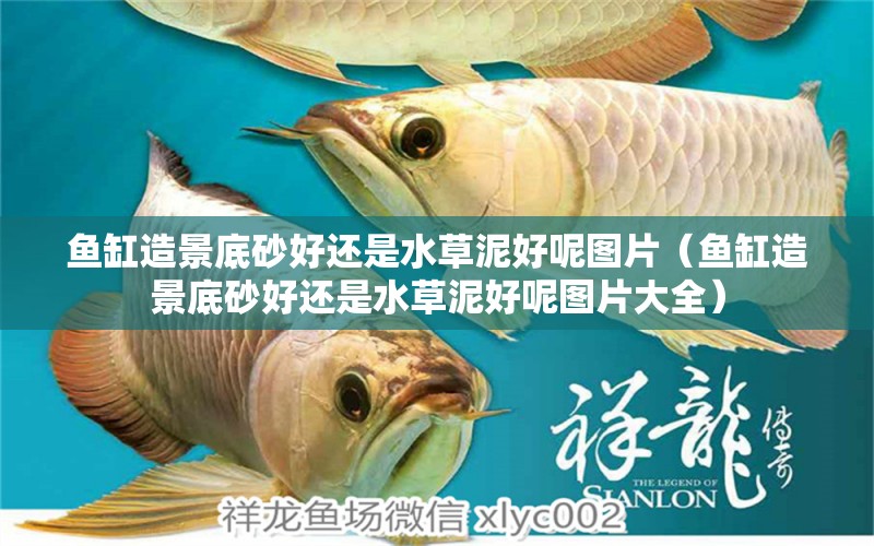 魚缸造景底砂好還是水草泥好呢圖片（魚缸造景底砂好還是水草泥好呢圖片大全） 水草