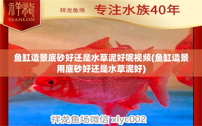 魚缸造景底砂好還是水草泥好呢視頻(魚缸造景用底砂好還是水草泥好) 水草