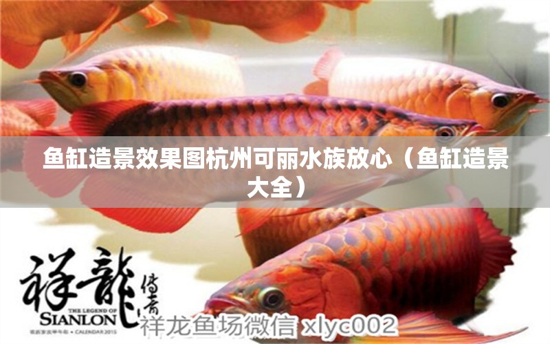 魚缸造景效果圖杭州可麗水族放心（魚缸造景大全）