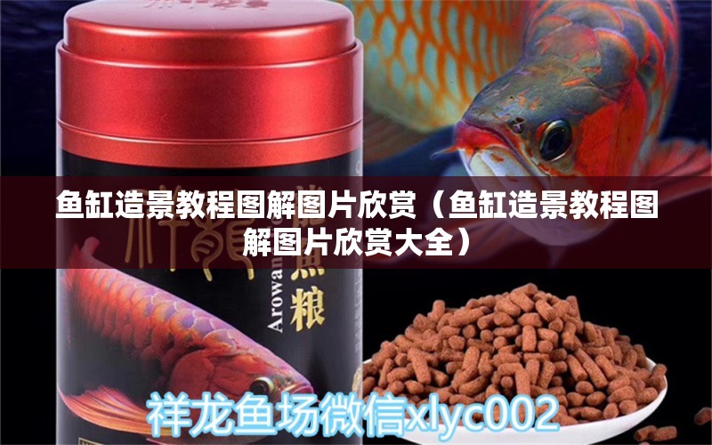 魚(yú)缸造景教程圖解圖片欣賞（魚(yú)缸造景教程圖解圖片欣賞大全） 祥龍水族醫(yī)院