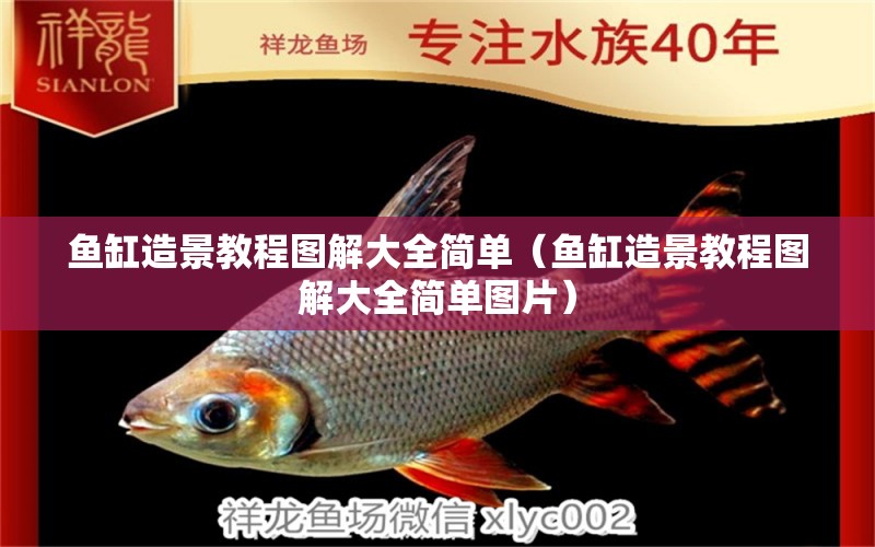 魚缸造景教程圖解大全簡單（魚缸造景教程圖解大全簡單圖片） 黑桃A魚苗