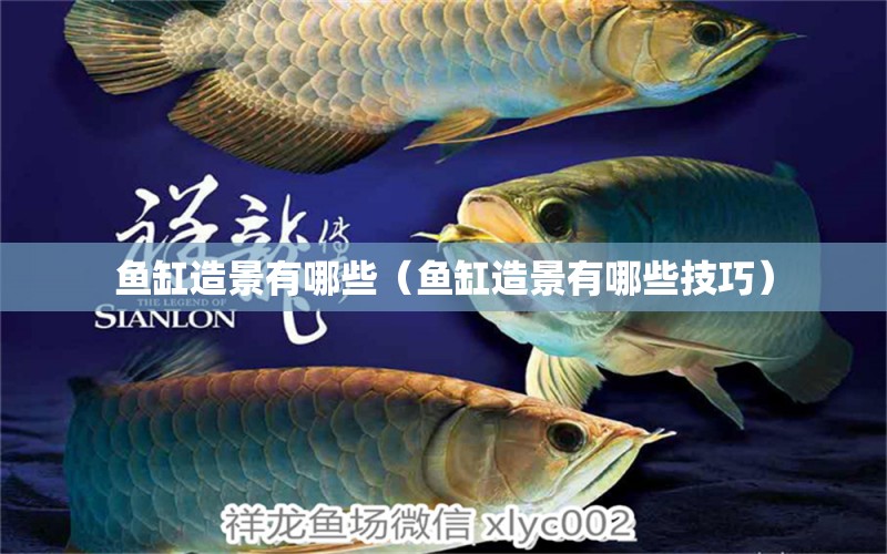 魚(yú)缸造景有哪些（魚(yú)缸造景有哪些技巧） 其他品牌魚(yú)缸