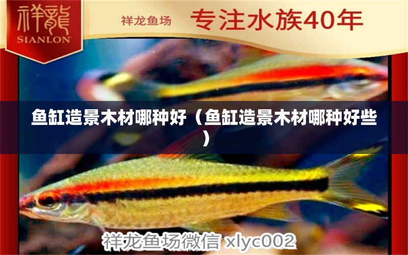 魚缸造景木材哪種好（魚缸造景木材哪種好些） 羽毛刀魚苗