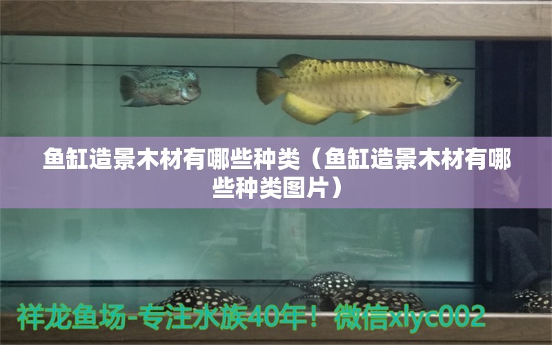 魚缸造景木材有哪些種類（魚缸造景木材有哪些種類圖片） 量子養(yǎng)魚技術(shù)