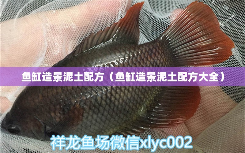 魚缸造景泥土配方（魚缸造景泥土配方大全） 白子球鯊魚