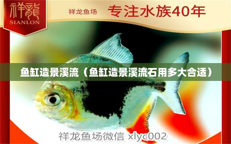 魚缸造景溪流（魚缸造景溪流石用多大合適）