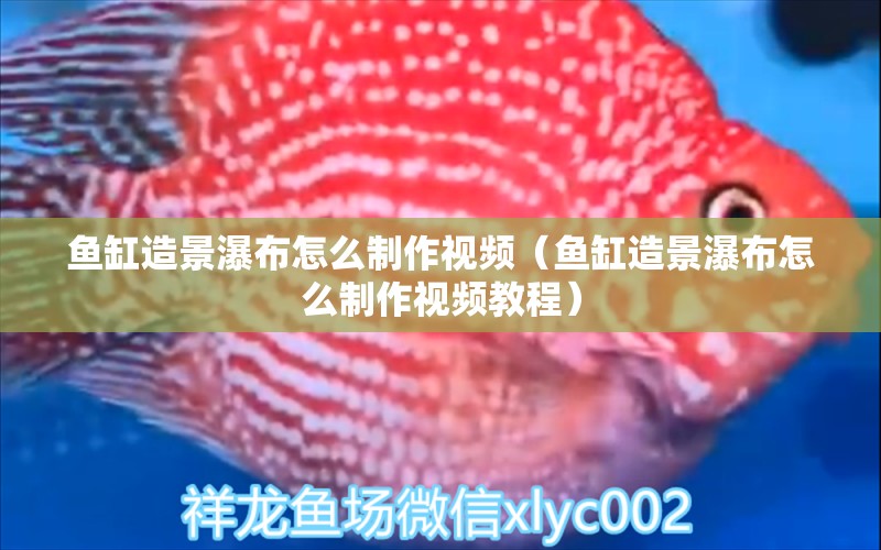 魚缸造景瀑布怎么制作視頻（魚缸造景瀑布怎么制作視頻教程） 泰國雪鯽魚