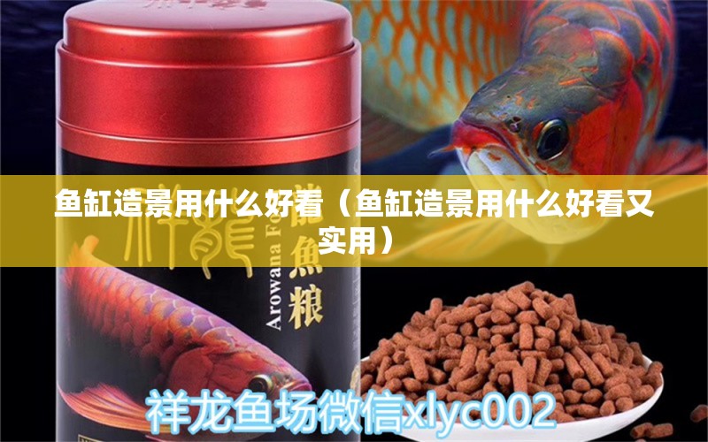 魚缸造景用什么好看（魚缸造景用什么好看又實用） 水草