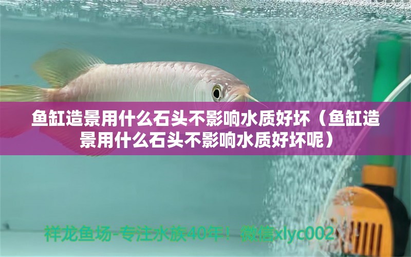 魚(yú)缸造景用什么石頭不影響水質(zhì)好壞（魚(yú)缸造景用什么石頭不影響水質(zhì)好壞呢） 水族品牌