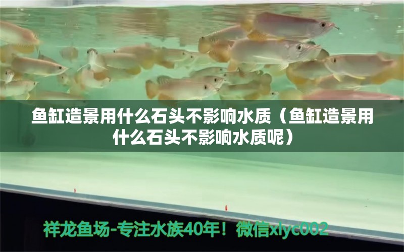 魚缸造景用什么石頭不影響水質(zhì)（魚缸造景用什么石頭不影響水質(zhì)呢）