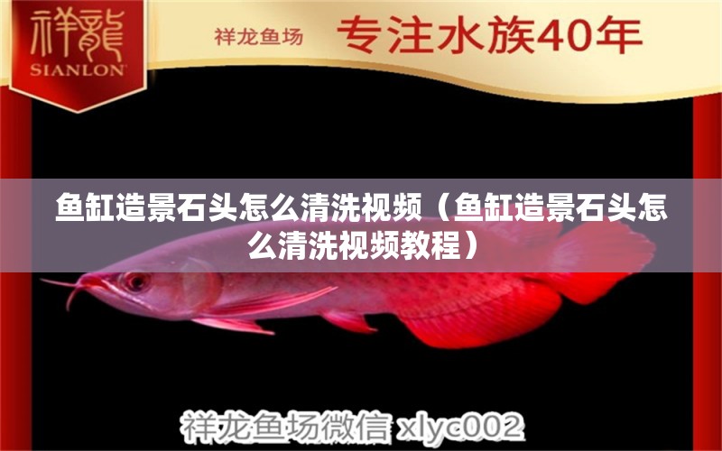 魚缸造景石頭怎么清洗視頻（魚缸造景石頭怎么清洗視頻教程）