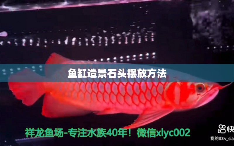 魚缸造景石頭擺放方法